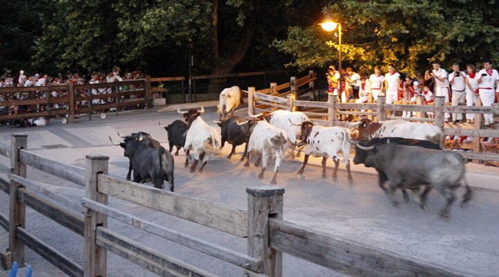 encierrillo san fermin