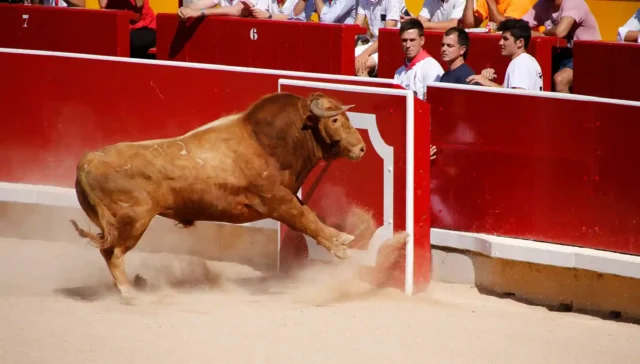 feria del toro pamplona 2024