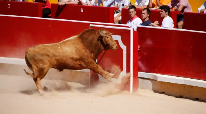 feria del toro pamplona 2024