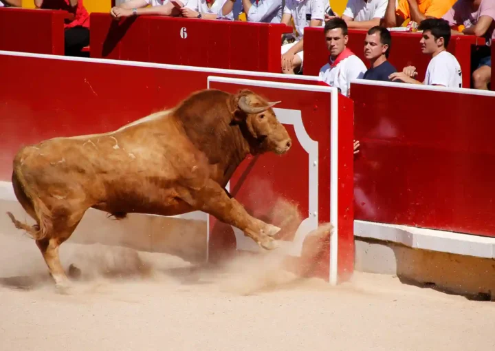 feria del toro pamplona 2024