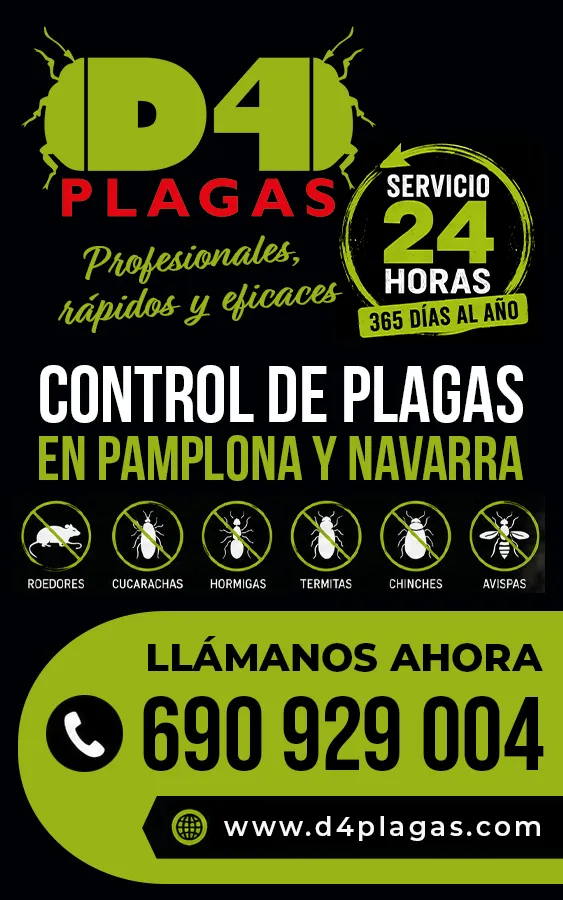 D4 Plagas - Control de plagas en Pamplona